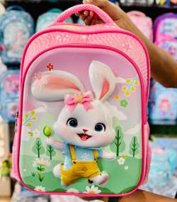 ceaf9d65-048a-428c-acd2-34adbbbbd216