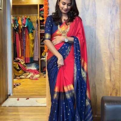 Zip gown saree